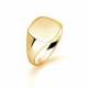 9ct Yellow Gold, Gents Signet Ring, Size S