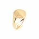 9ct Yellow Gold, Gents Signet Ring, Size U