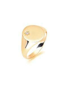 9ct Yellow Gold, Gents Signet Ring, Size W